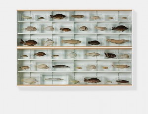 Damien Hirst, Isolated Elements Swimming in the Same Direction for the Purpose of Understanding (right), 1991