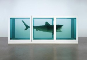 Damien Hirst, The Physical Impossibility of Death in the Mind of Someone Living, 1991